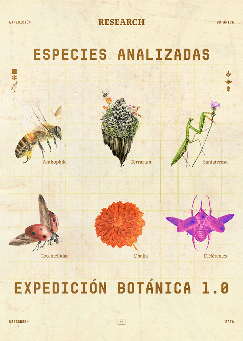 Expedición Botánica: Especies analizadas