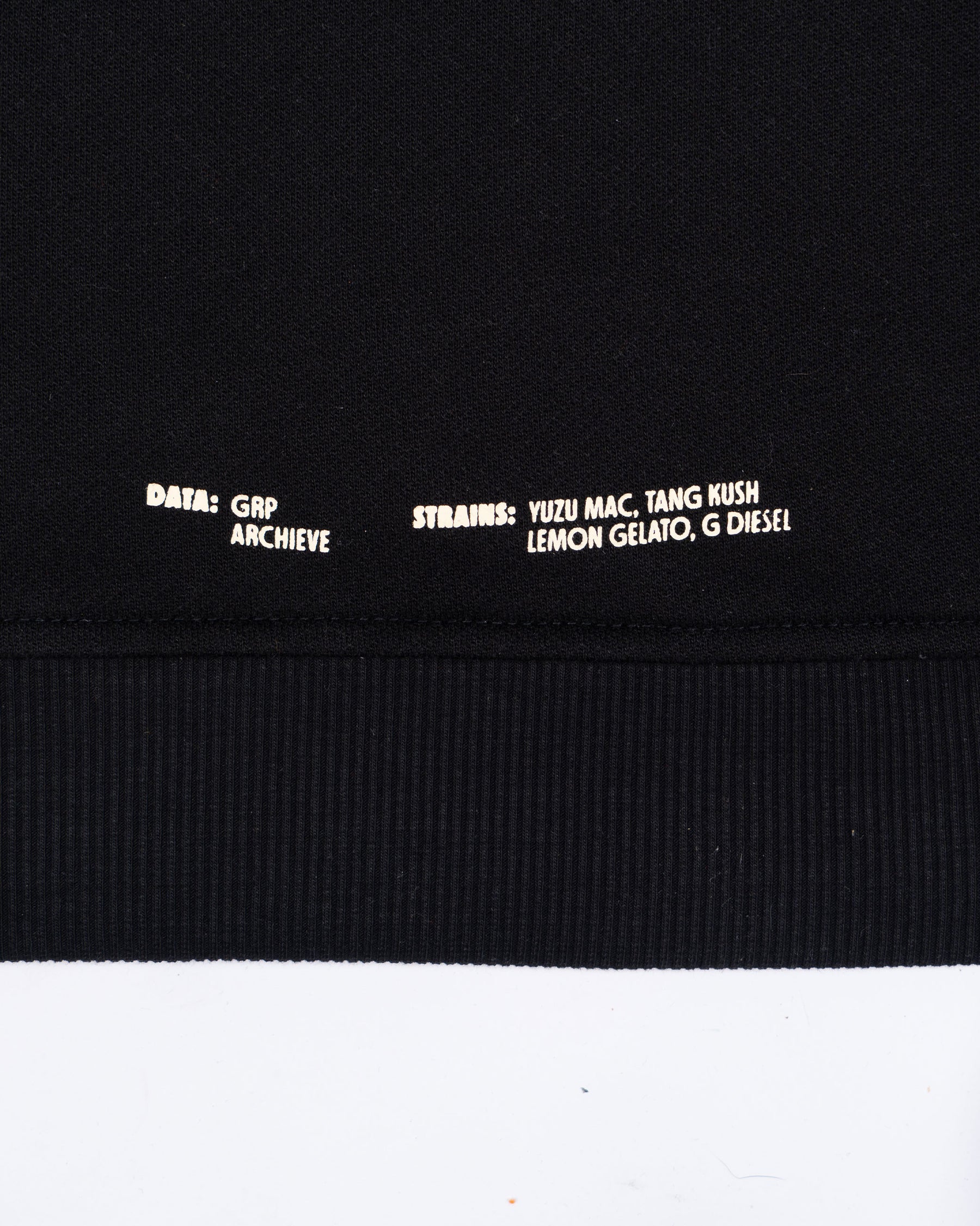 HOODIE CITRICOS NEGRO