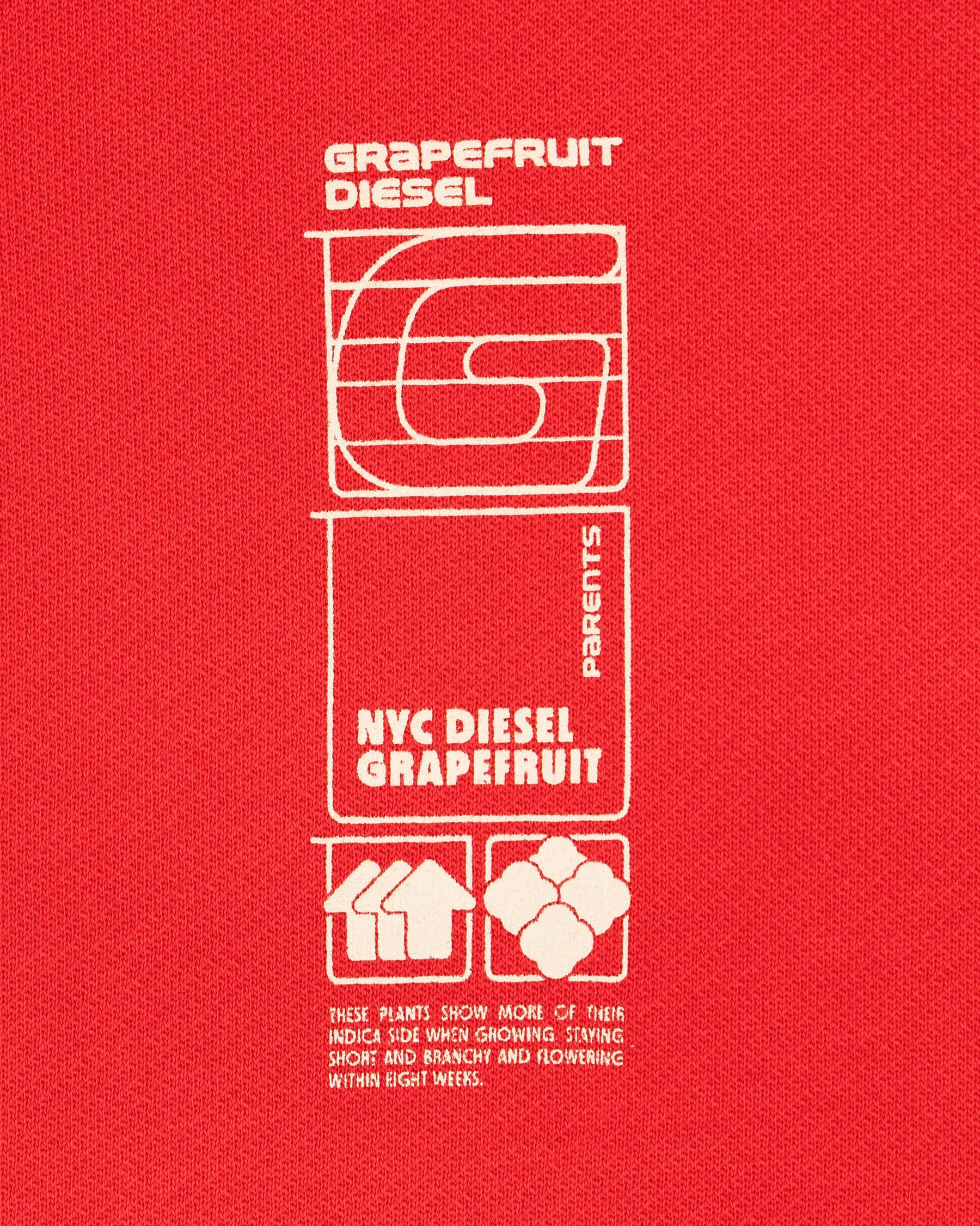 HOODIE GRAPEFRUIT DIESEL ROJO