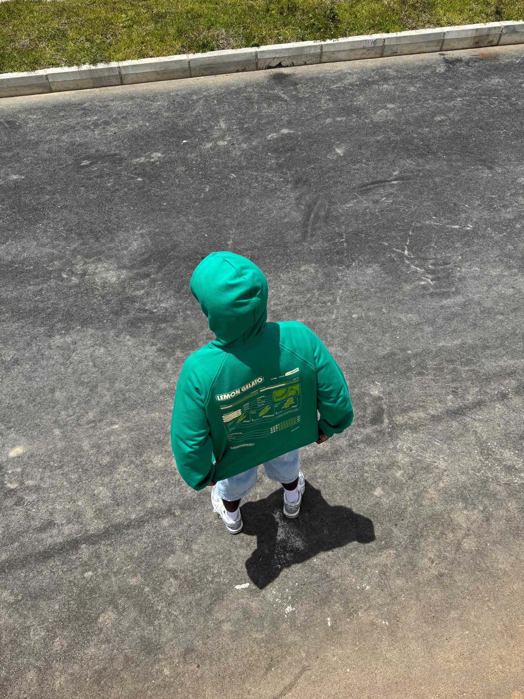 HOODIE LEMON GELATO VERDE