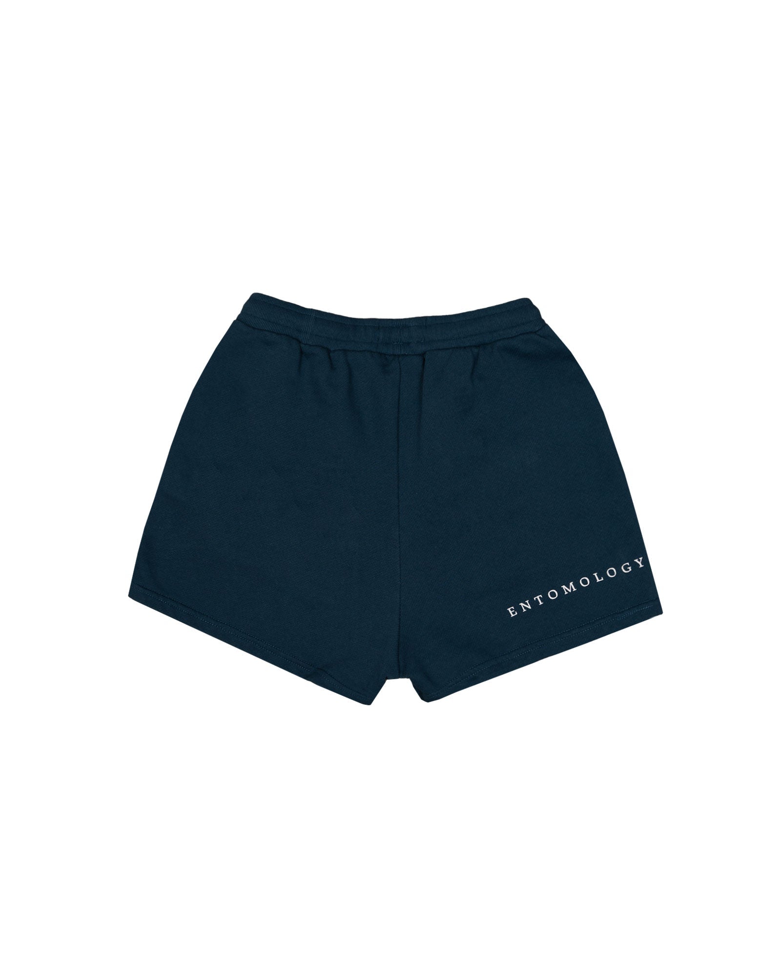 SHORT RECTO ENTOMOLOGY AZUL