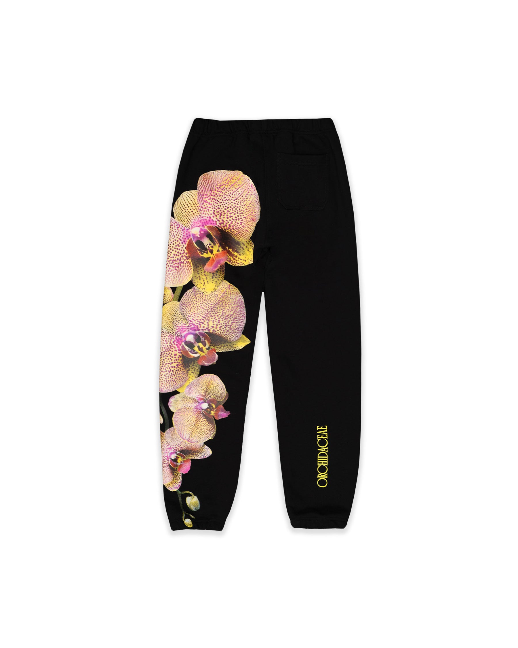 JOGGER DREAMLAND FANTASY NEGRO