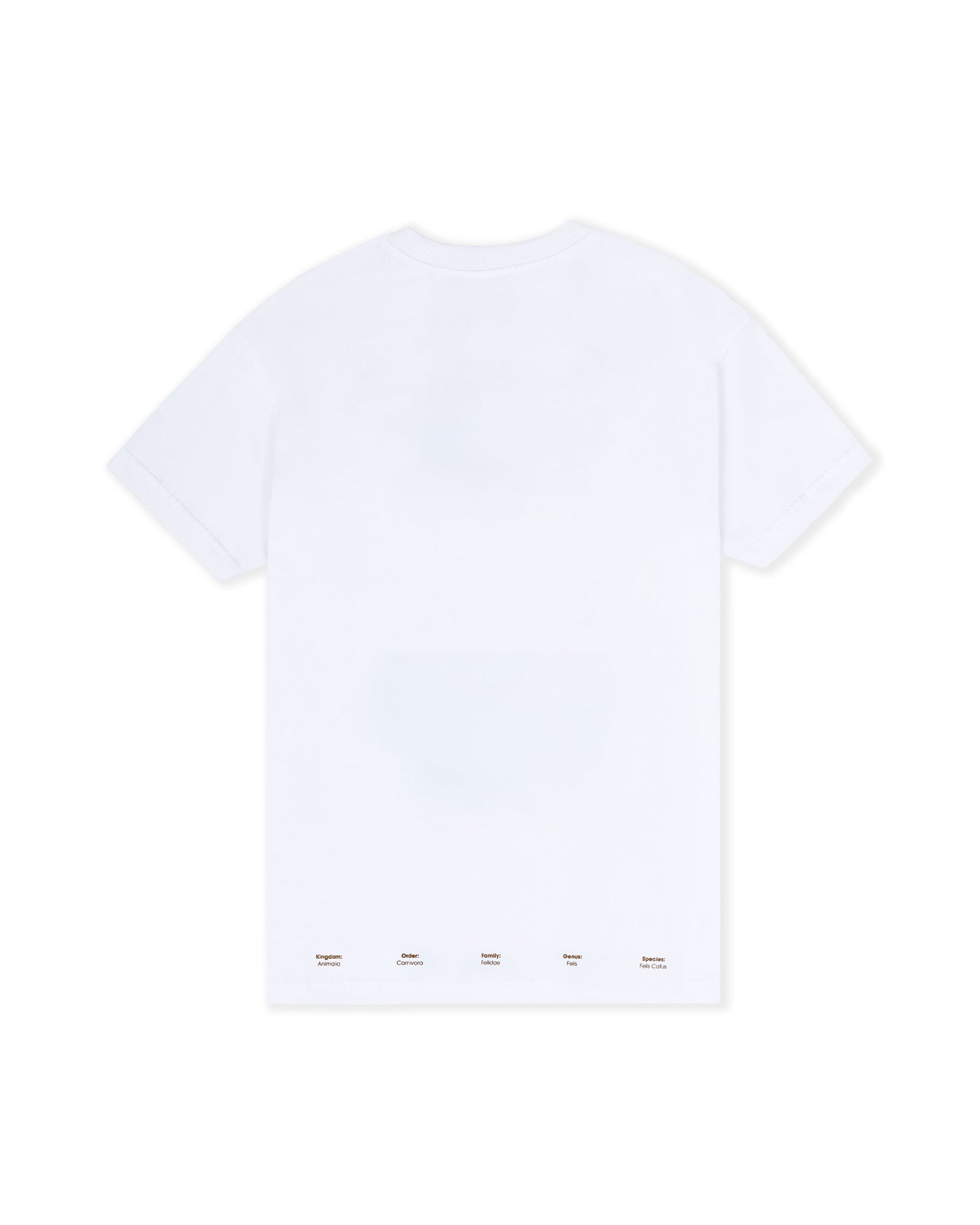 CAMISETA CLEVER PROWLERS BLANCO