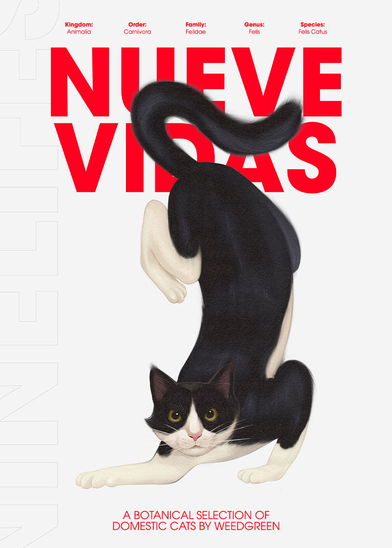 Nine Lives