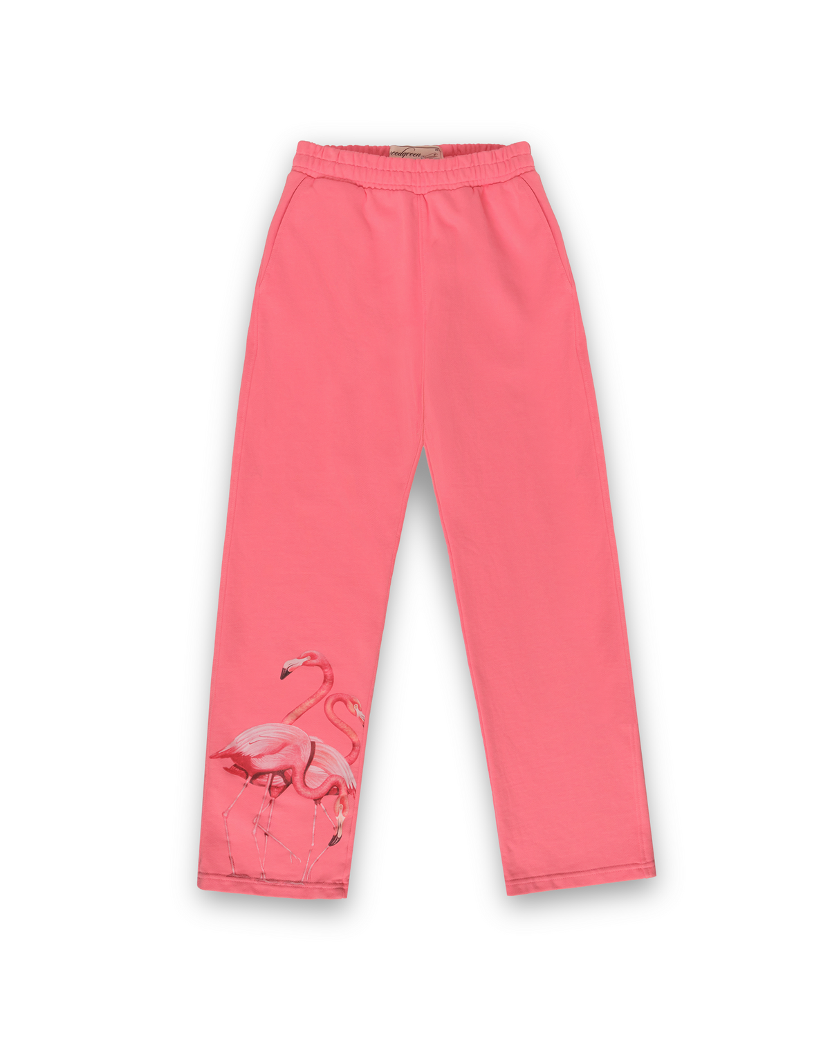 JOGGER RECTO FLAMENCO ROSADO
