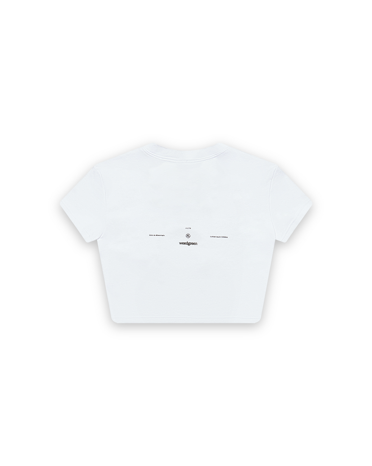CAMISETA GRAPHITEE FLOURITE BLANCO