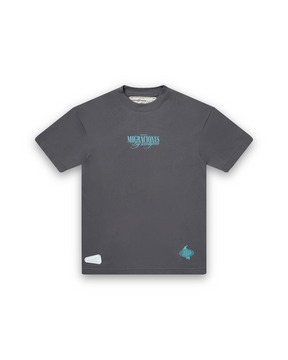 CAMISETA PELICANO GRIS