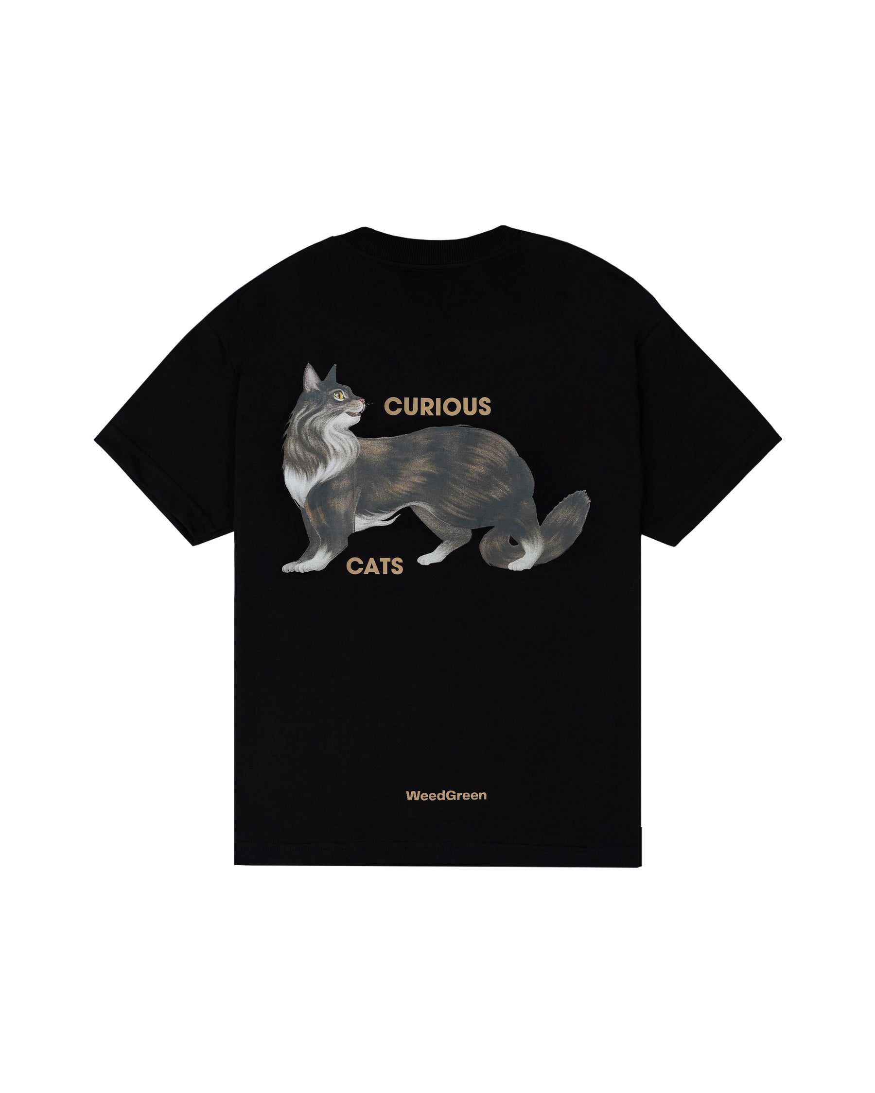 CAMISETA BOX CUNNING CURIOSITY NEGRO