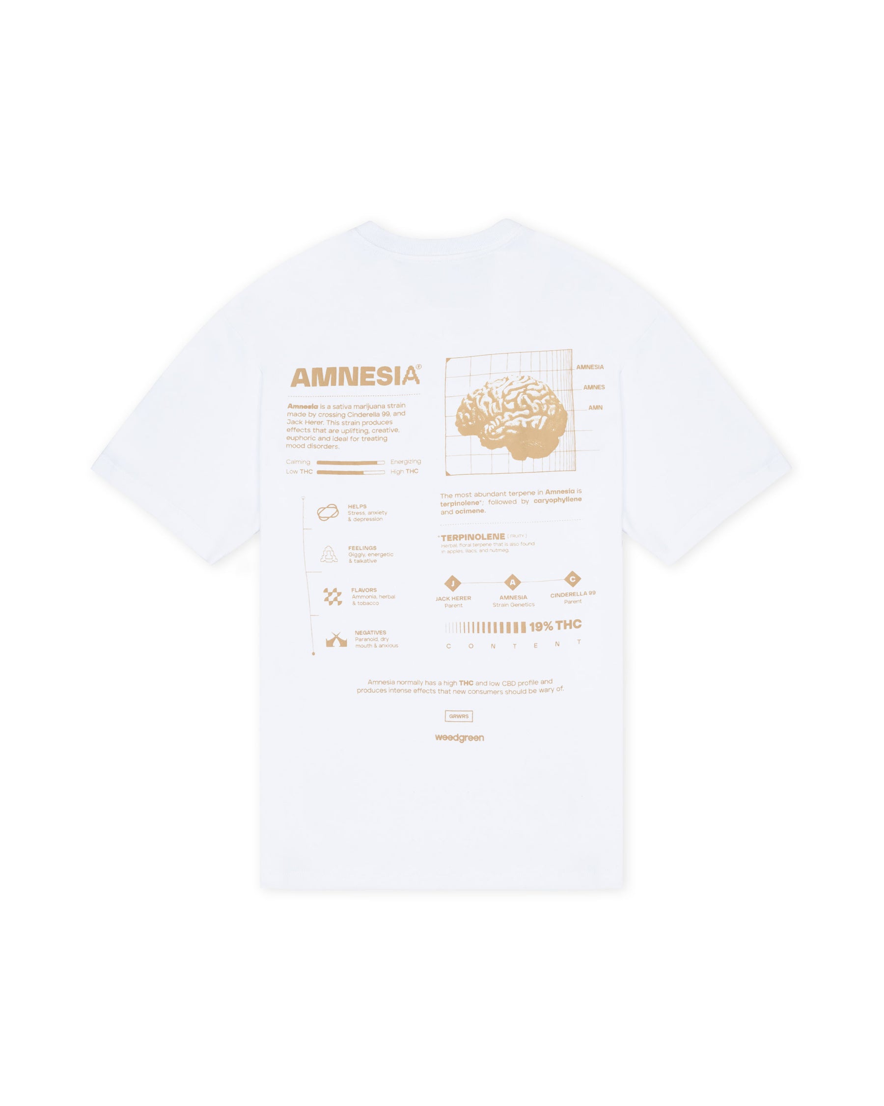 CAMISETA OVERSIZE AMNESIA CORTEX BLANCO