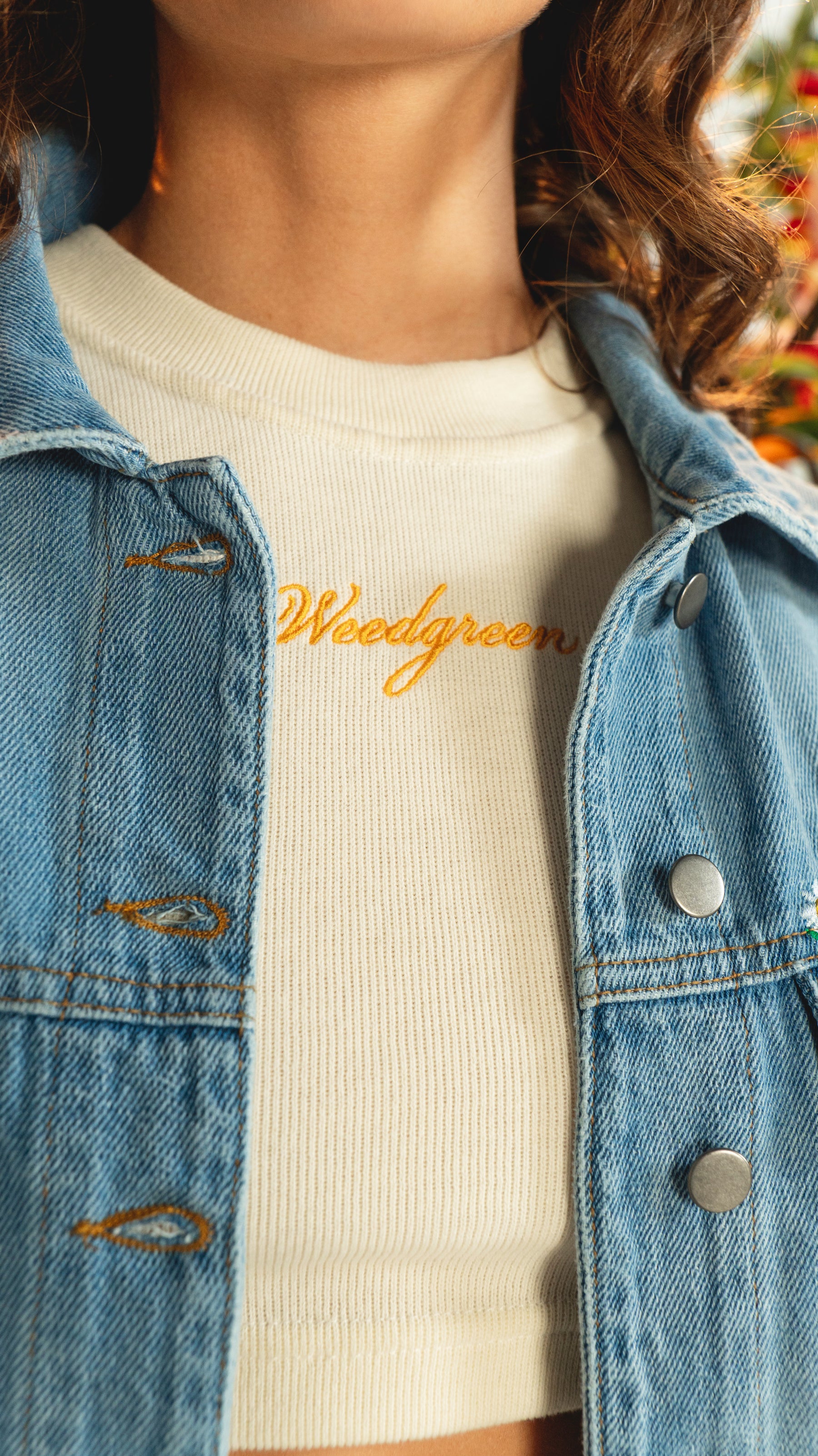 TOP POLINIZADORES CRUDO