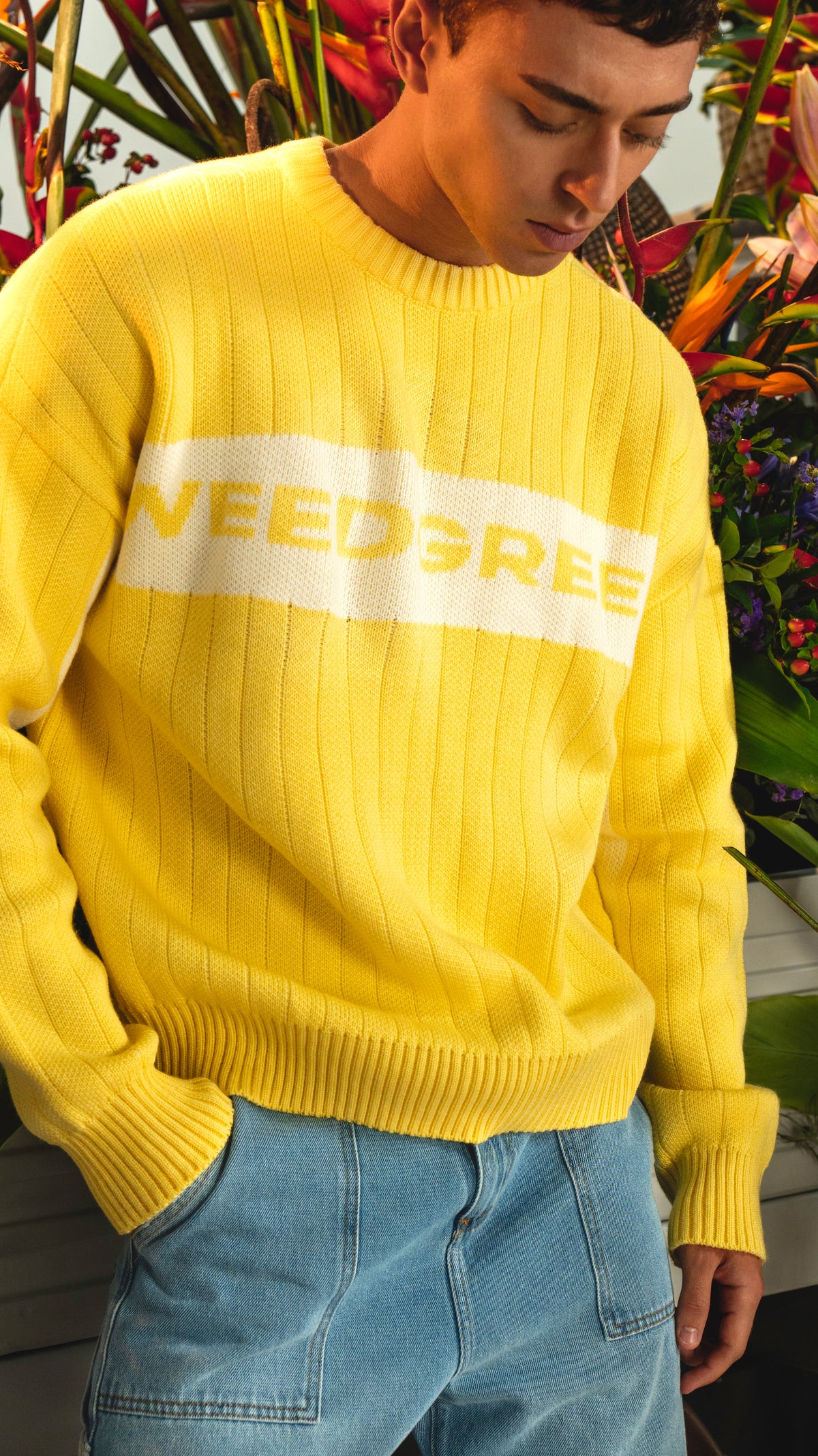 CREWNECK KNIT WEAR WEEDGREEN AMARILLO
