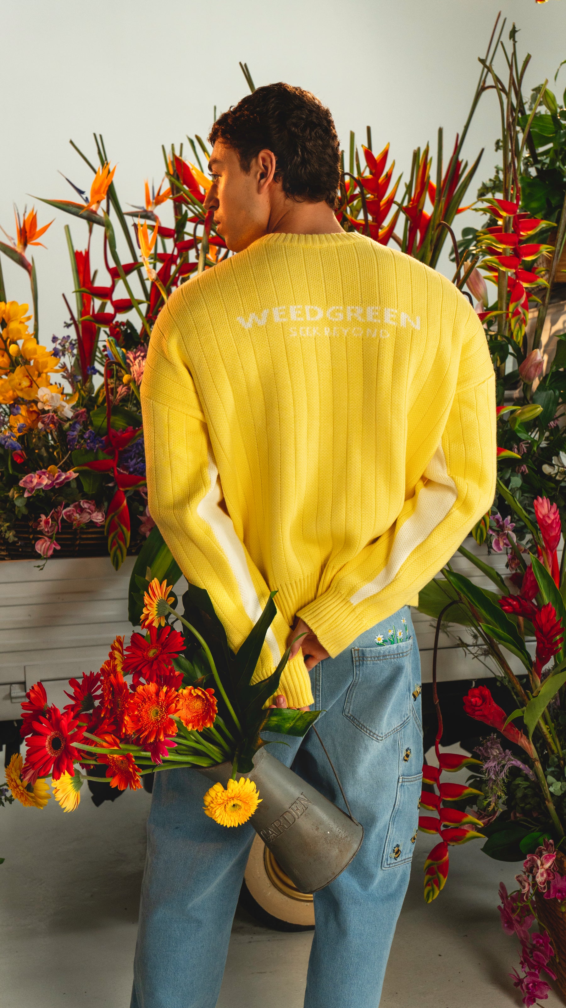 CREWNECK KNIT WEAR WEEDGREEN AMARILLO