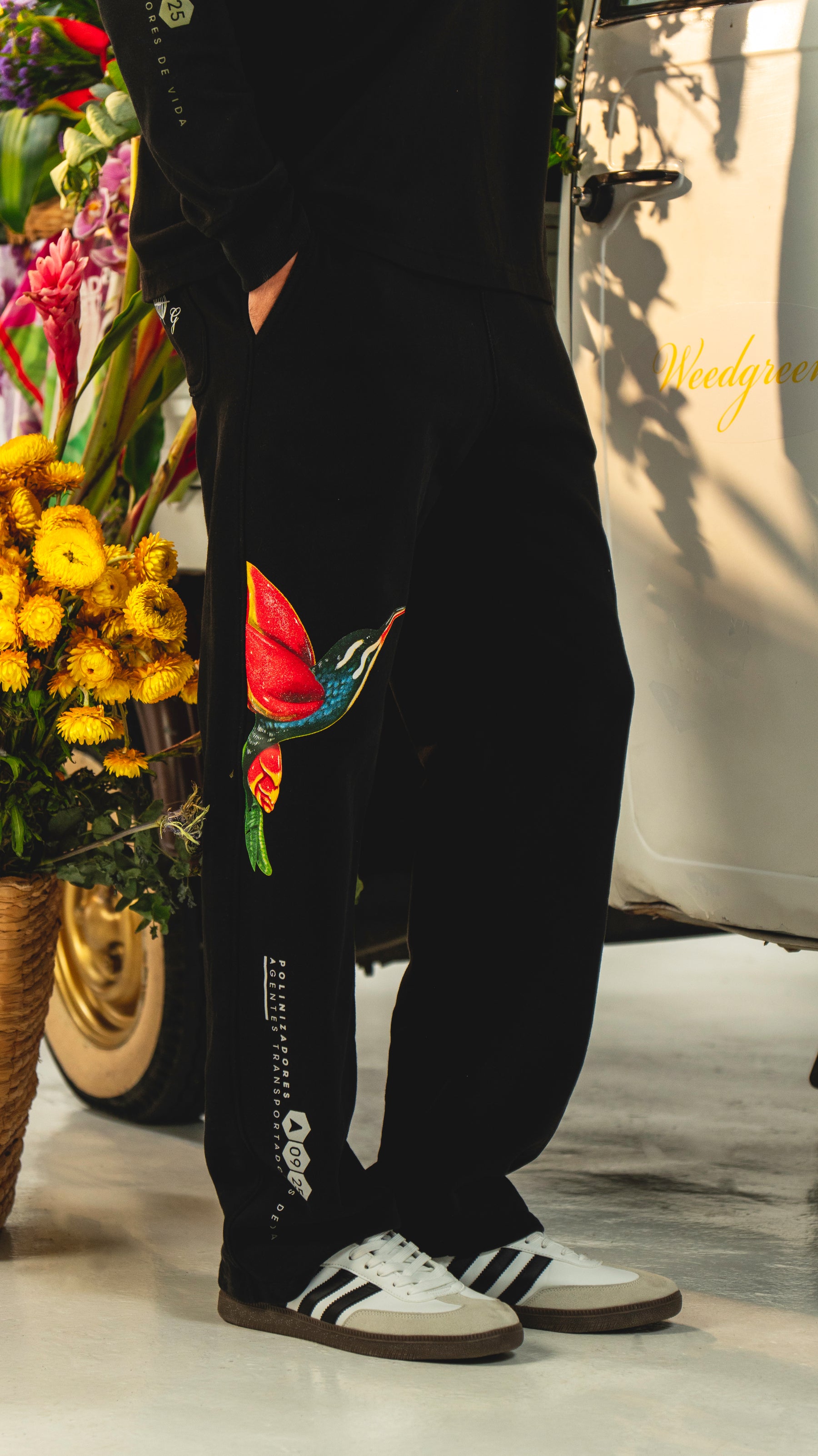 JOGGER RECTO  COLIBRI NEGRO