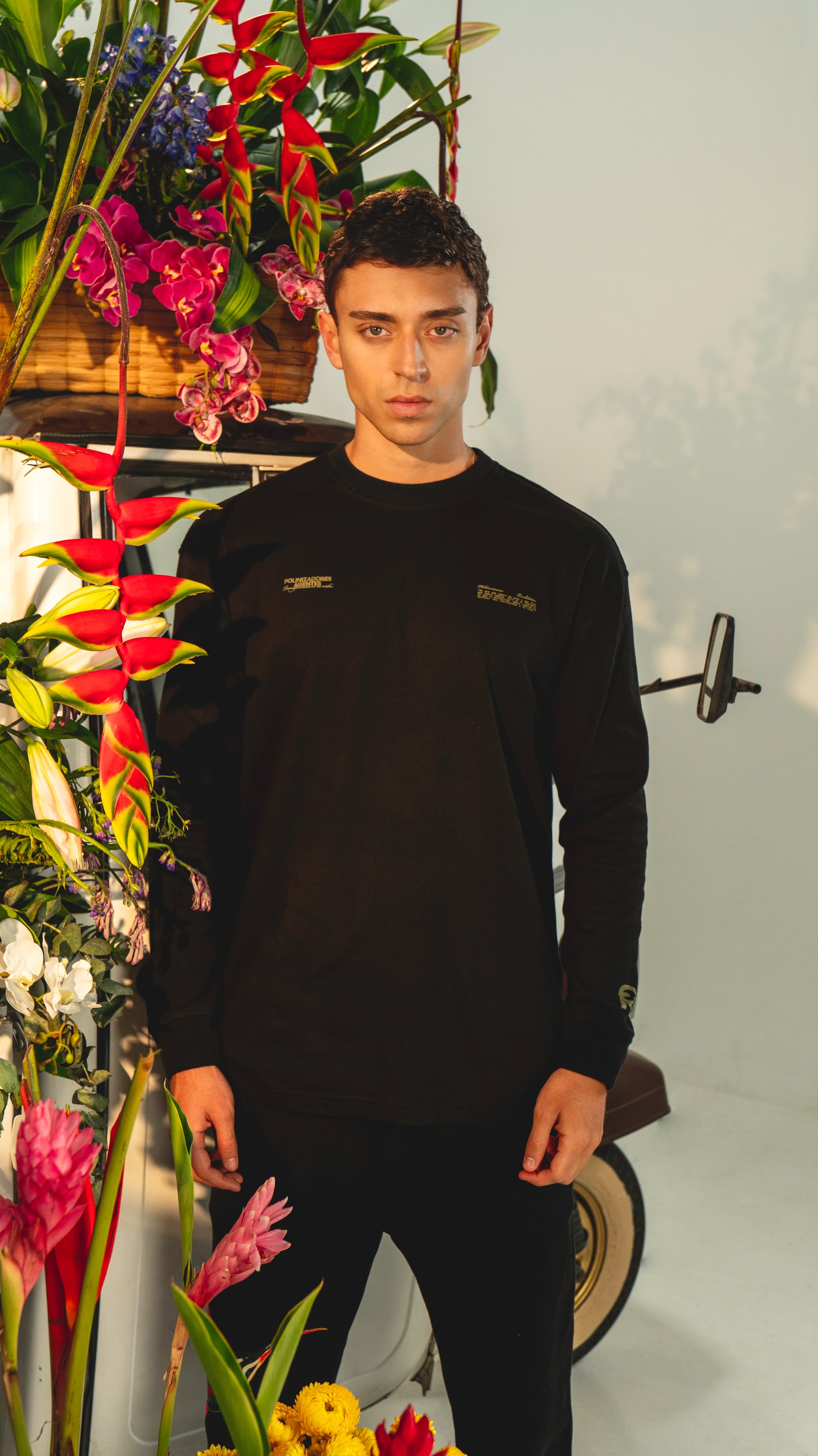 CAMIBUSO COLIBRI NEGRO