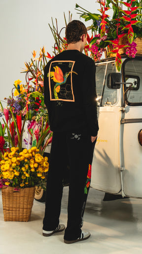 CAMIBUSO COLIBRI NEGRO