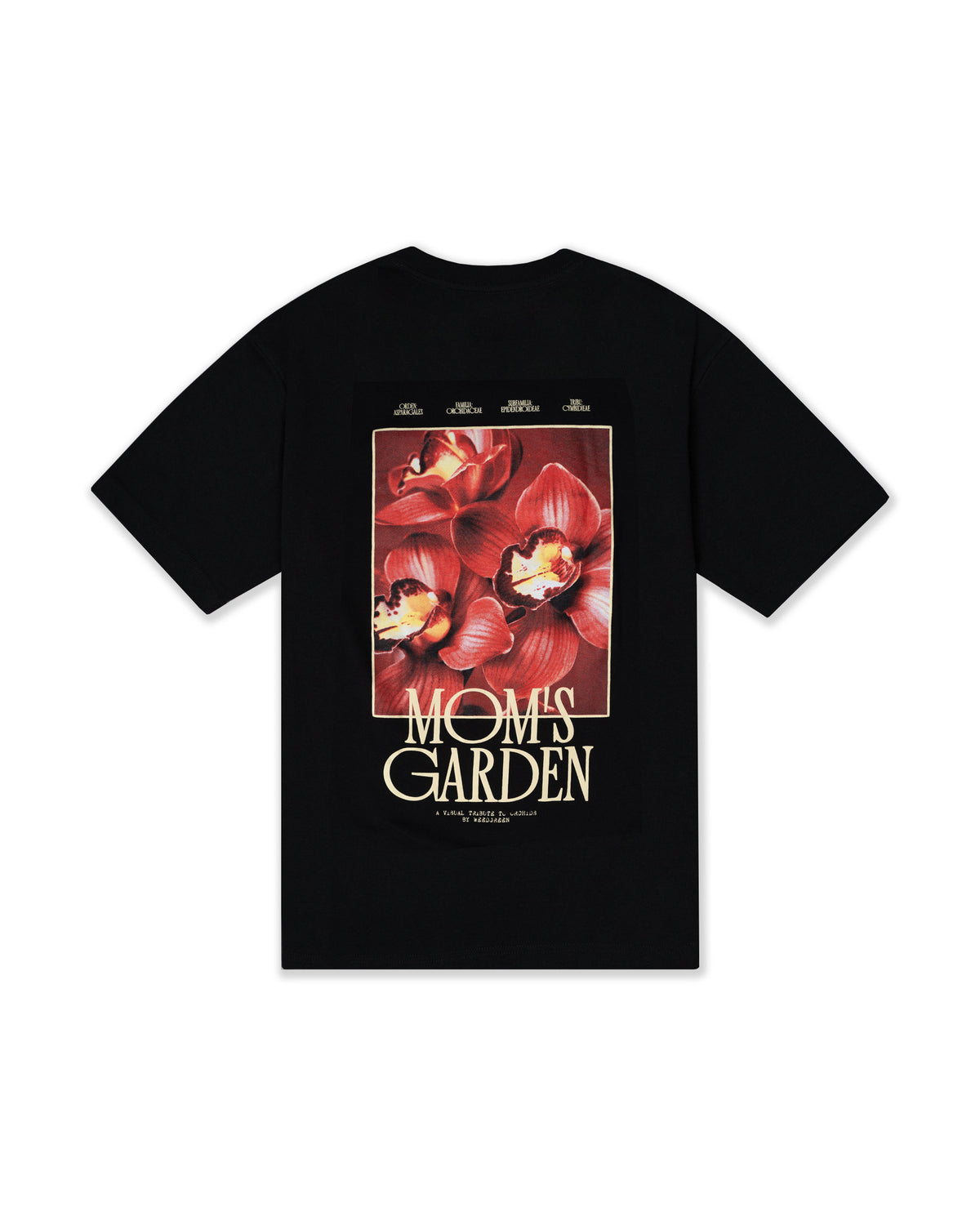 CAMISETA OVERSIZE Blossom Of Affection NEGRO