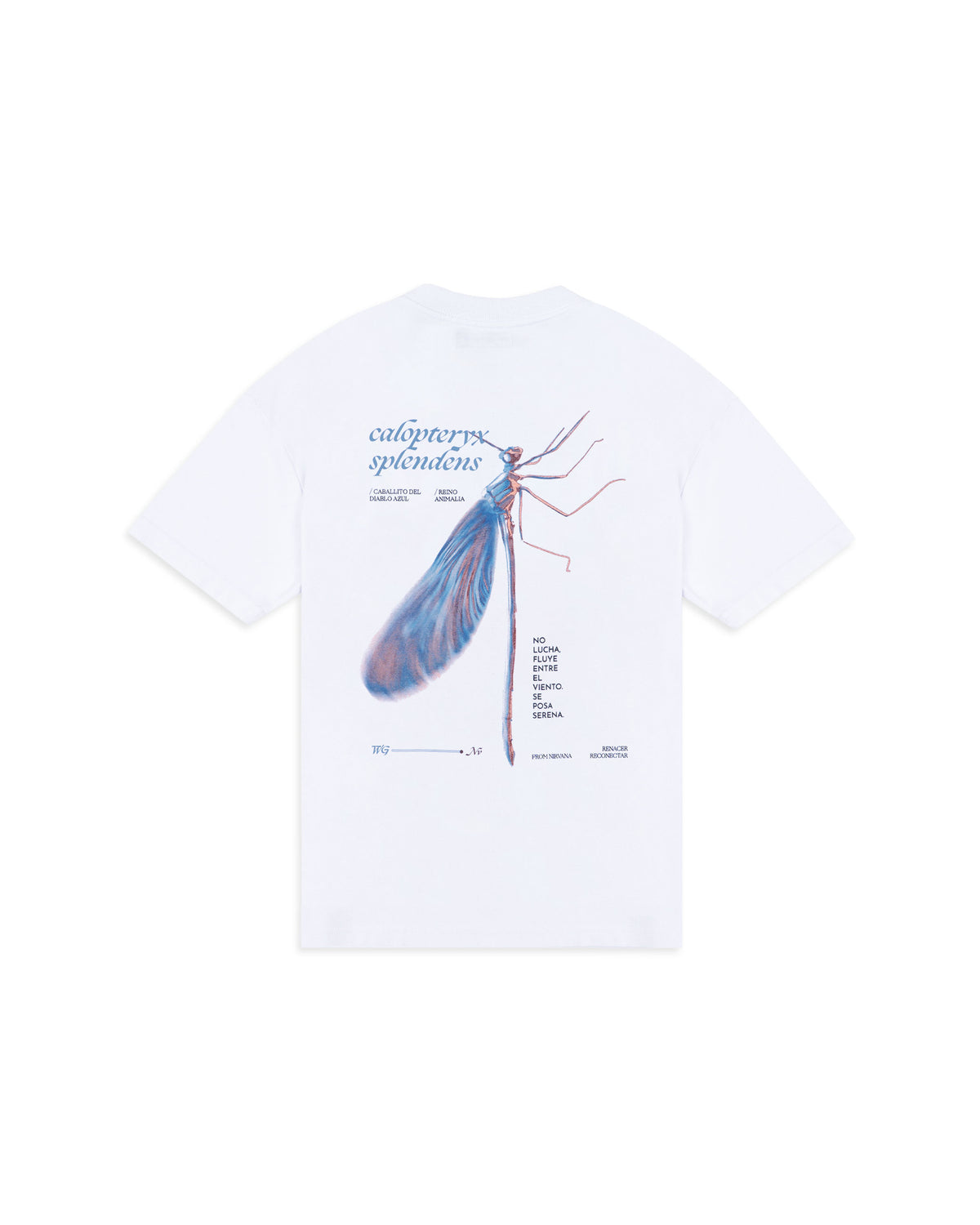 CAMISETA RECONECTAR BLANCO