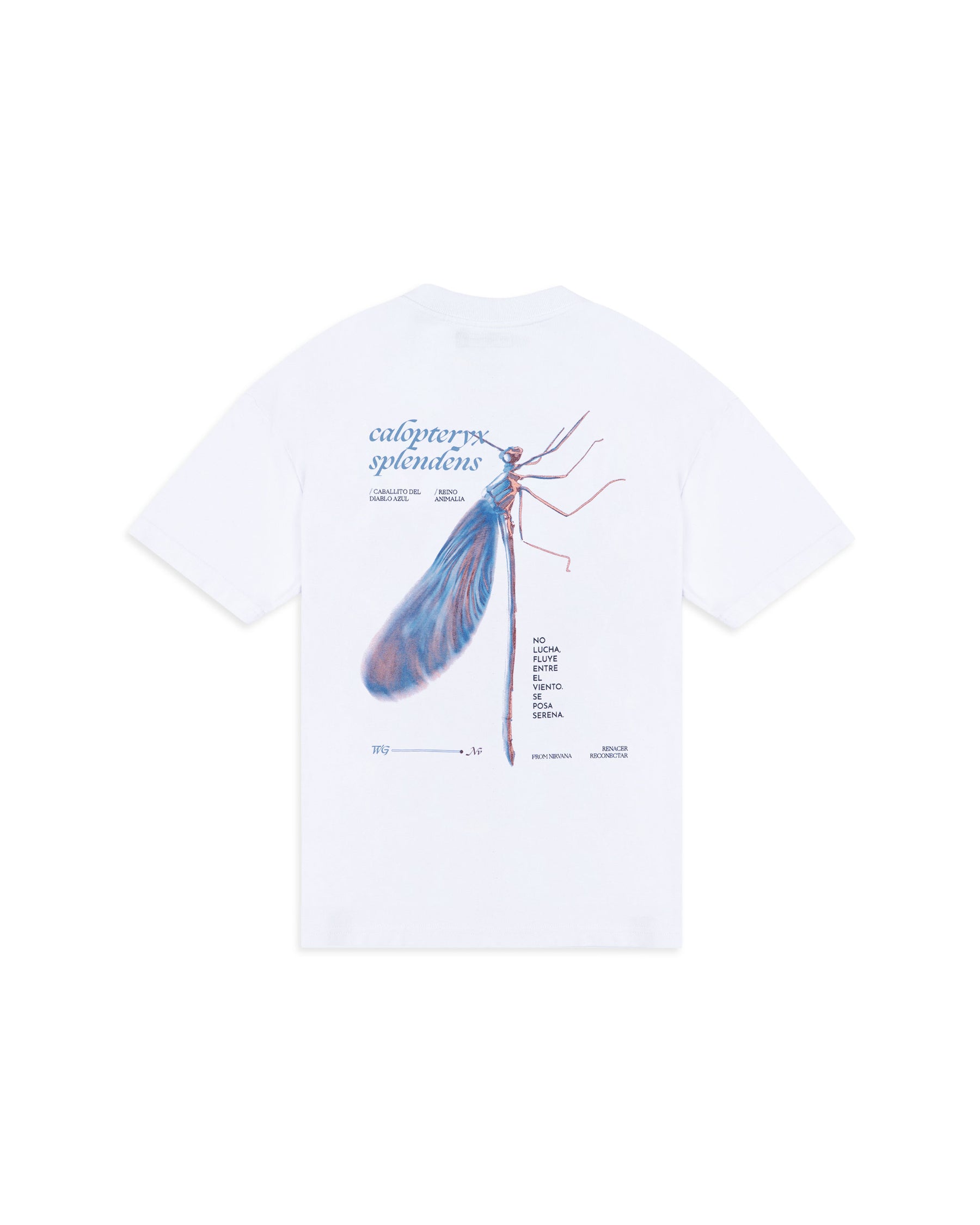 CAMISETA RECONECTAR BLANCO