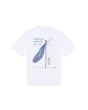 CAMISETA RECONECTAR BLANCO