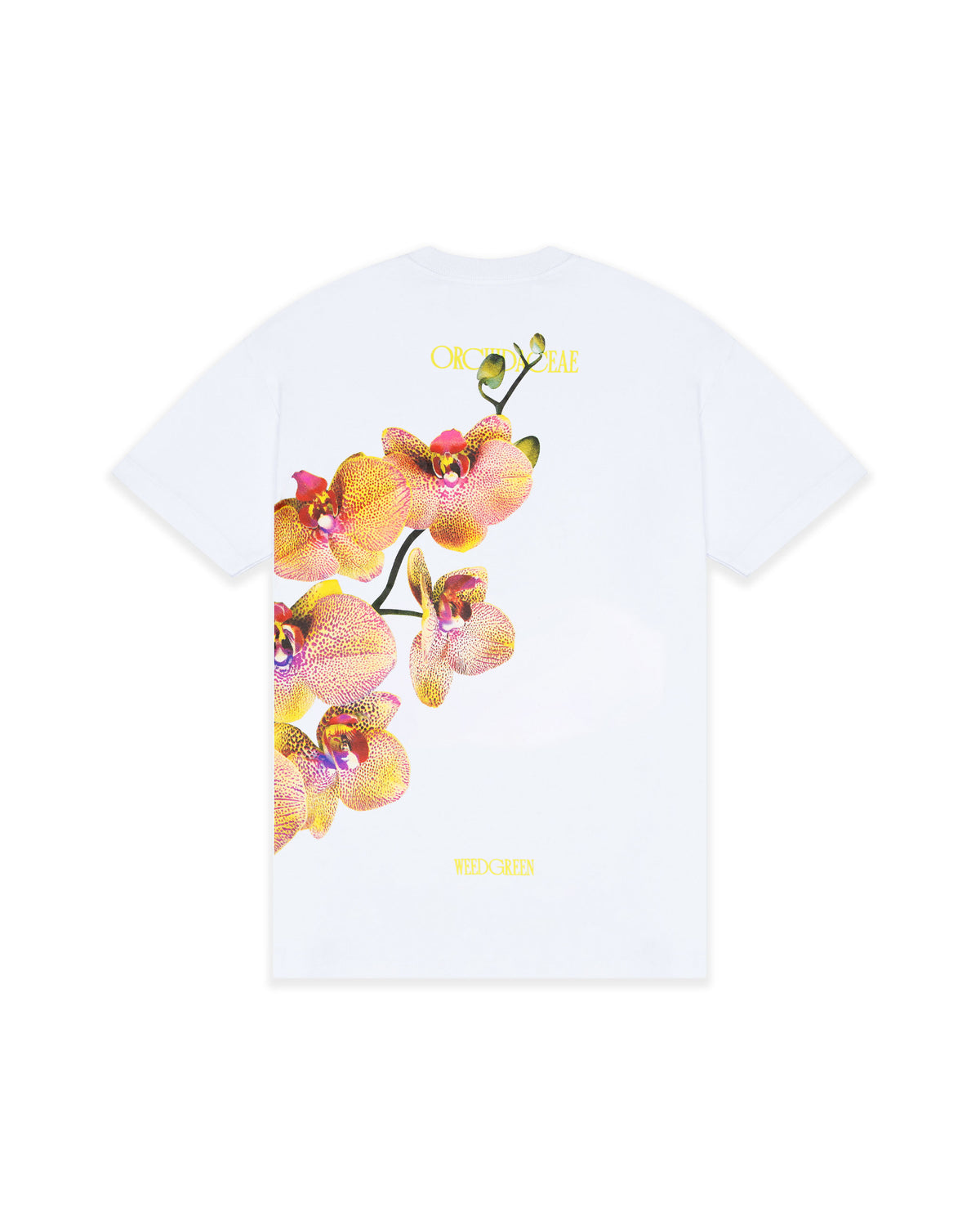 CAMISETA MYSTICAL ORCHID BLANCO