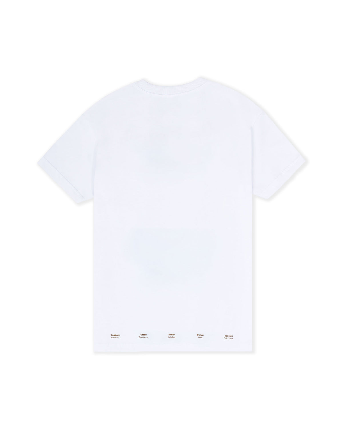 CAMISETA CLEVER PROWLERS  BLANCO