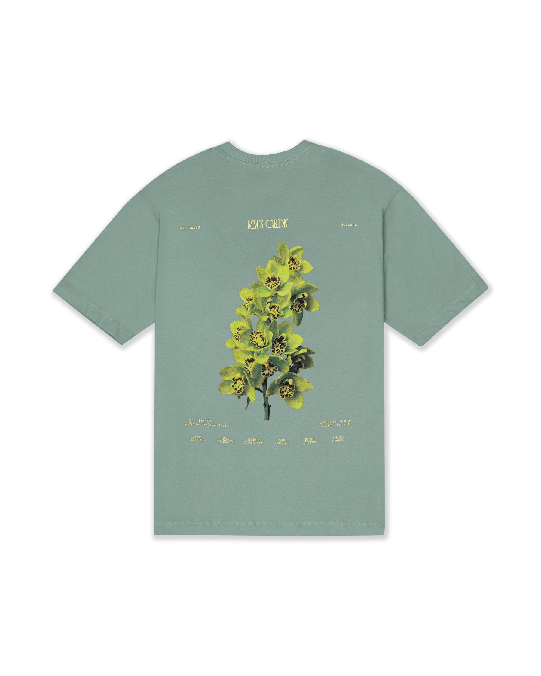 CAMISETA OVERSIZE Glowing Petals VERDE