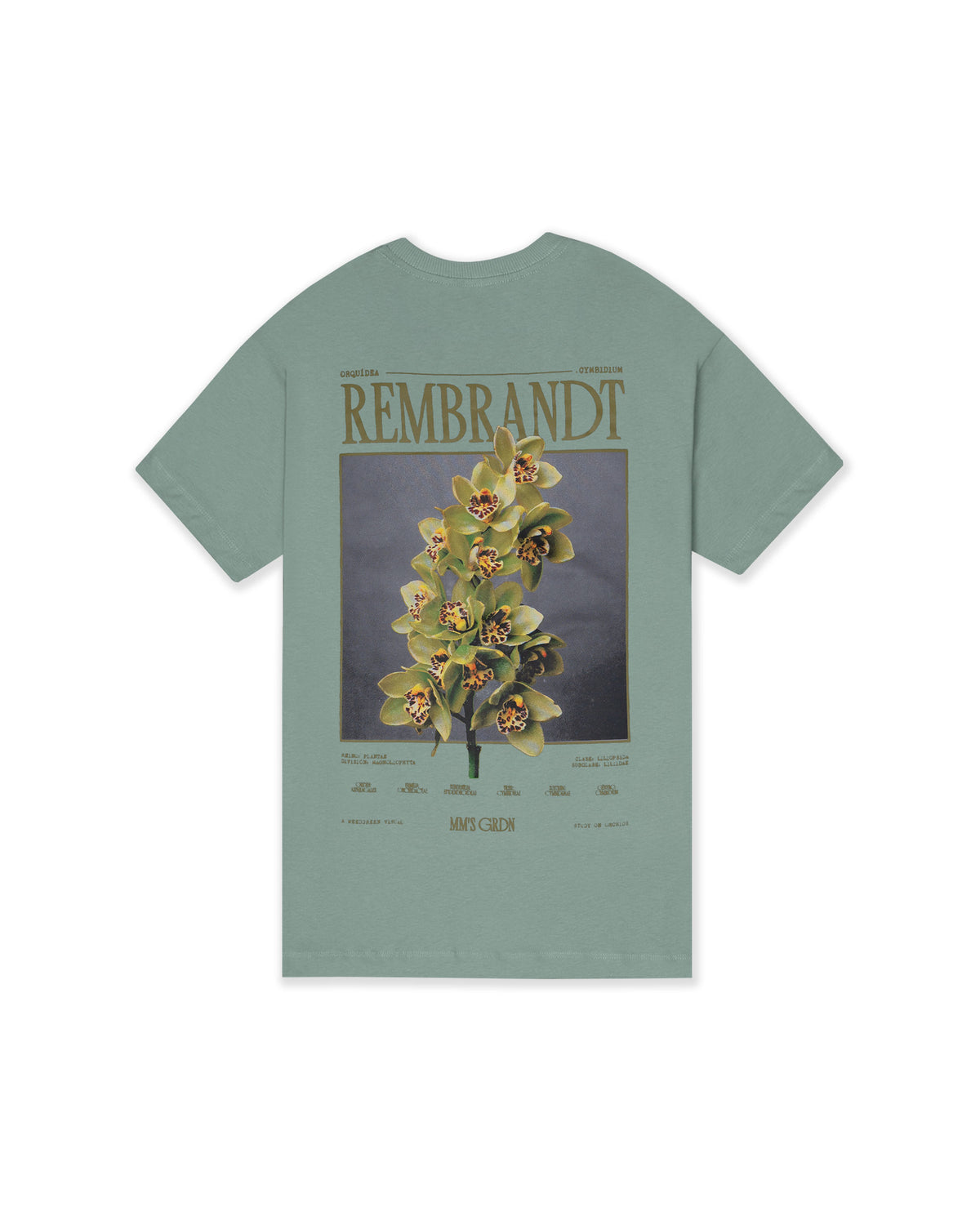 CAMISETA Orchid Harmony VERDE