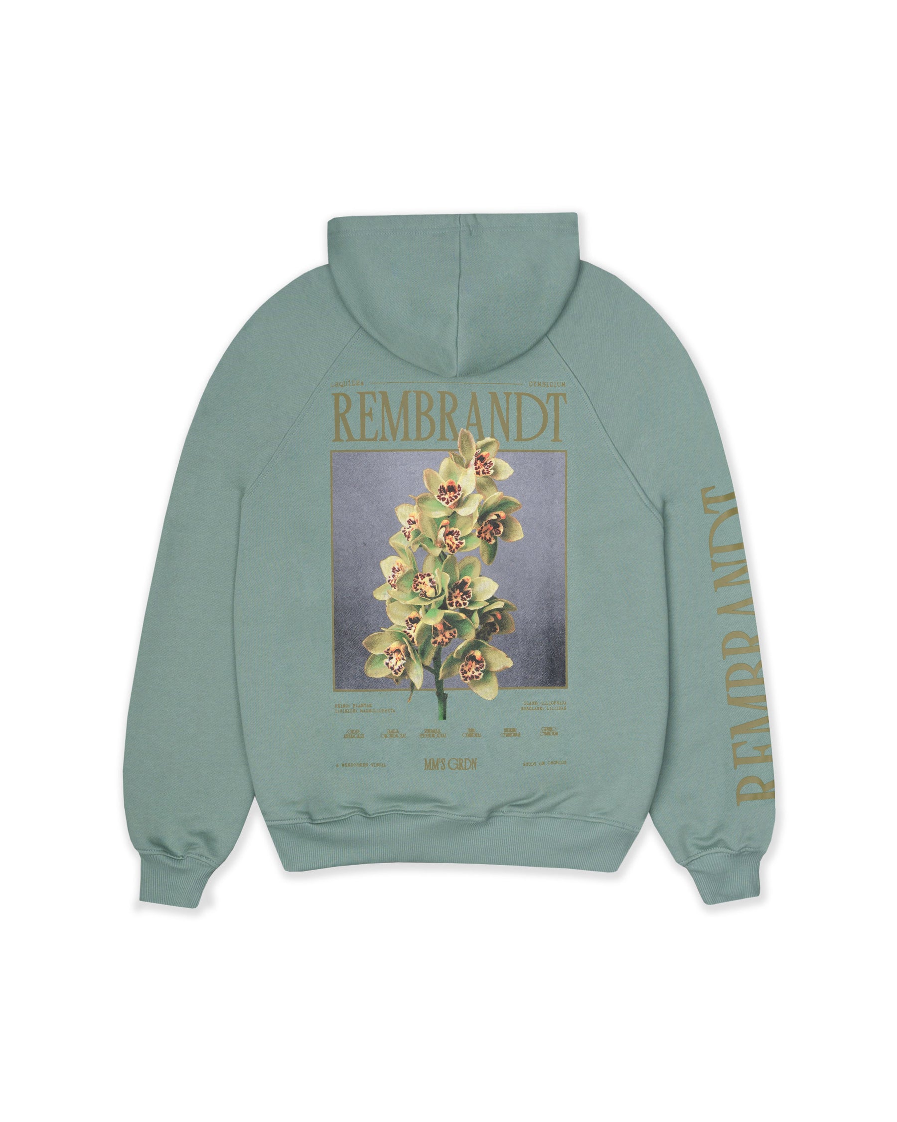 HOODIE PAINTERLY PETALS  VERDE