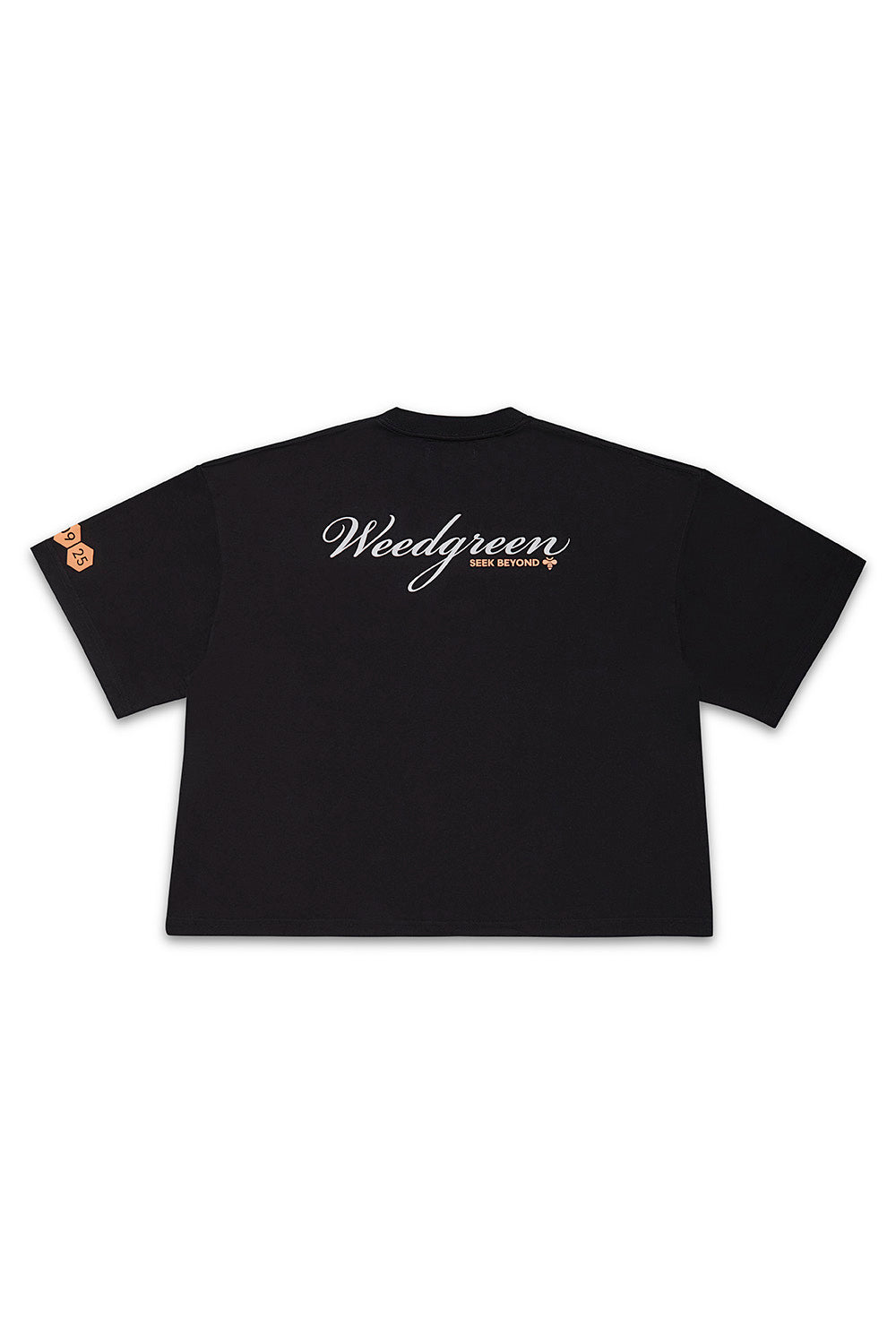 CAMISETA BOX POLINIZADORES NEGRO